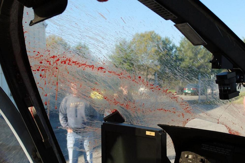 FOXTROT BIRD STRIKE2