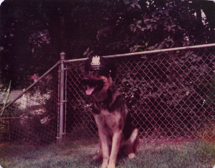 KSCN0119  72i