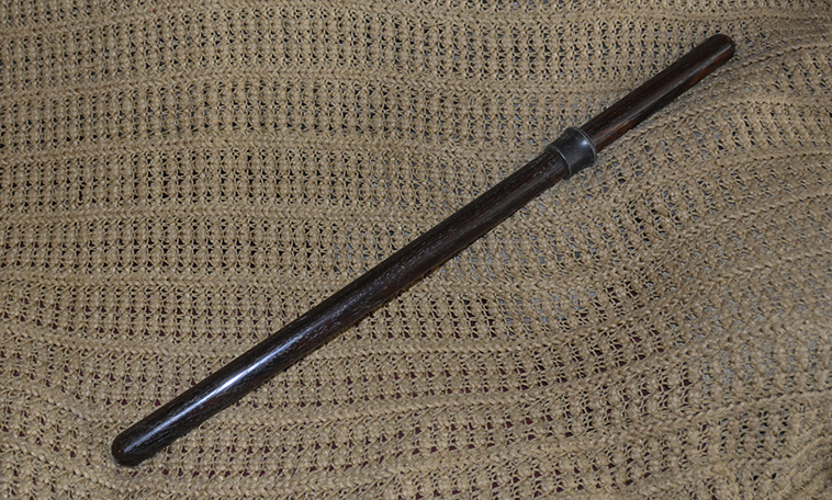  DSC5153