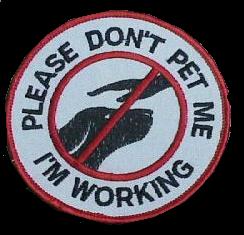K9 Dont pet me I am Working
