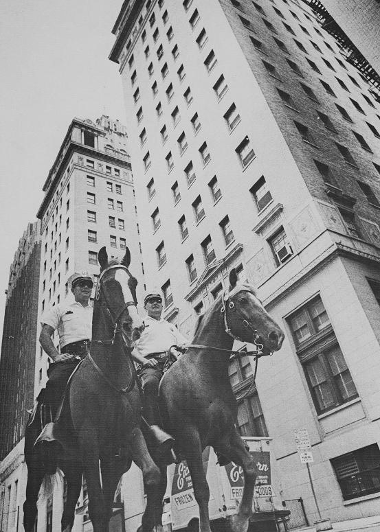 2 Mounted officers