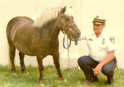 off tom whelean with miniture horse